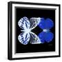 Miss Butterfly Duo Priopomia Sq - X-Ray Black Edition-Philippe Hugonnard-Framed Photographic Print