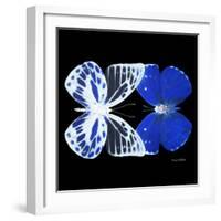 Miss Butterfly Duo Priopomia Sq - X-Ray Black Edition-Philippe Hugonnard-Framed Photographic Print