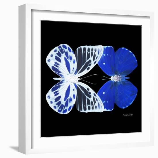 Miss Butterfly Duo Priopomia Sq - X-Ray Black Edition-Philippe Hugonnard-Framed Photographic Print