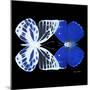 Miss Butterfly Duo Priopomia Sq - X-Ray Black Edition-Philippe Hugonnard-Mounted Photographic Print