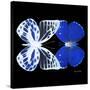 Miss Butterfly Duo Priopomia Sq - X-Ray Black Edition-Philippe Hugonnard-Stretched Canvas