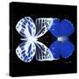 Miss Butterfly Duo Priopomia Sq - X-Ray Black Edition-Philippe Hugonnard-Stretched Canvas