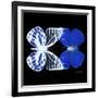 Miss Butterfly Duo Priopomia Sq - X-Ray Black Edition-Philippe Hugonnard-Framed Photographic Print