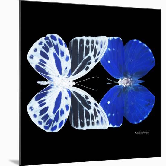 Miss Butterfly Duo Priopomia Sq - X-Ray Black Edition-Philippe Hugonnard-Mounted Photographic Print