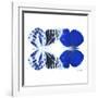 Miss Butterfly Duo Priopomia Sq - X-Ray White Edition-Philippe Hugonnard-Framed Photographic Print