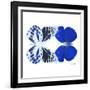 Miss Butterfly Duo Priopomia Sq - X-Ray White Edition-Philippe Hugonnard-Framed Photographic Print