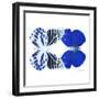 Miss Butterfly Duo Priopomia Sq - X-Ray White Edition-Philippe Hugonnard-Framed Photographic Print