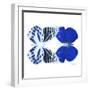 Miss Butterfly Duo Priopomia Sq - X-Ray White Edition-Philippe Hugonnard-Framed Photographic Print