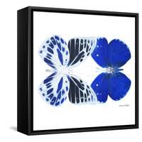 Miss Butterfly Duo Priopomia Sq - X-Ray White Edition-Philippe Hugonnard-Framed Stretched Canvas