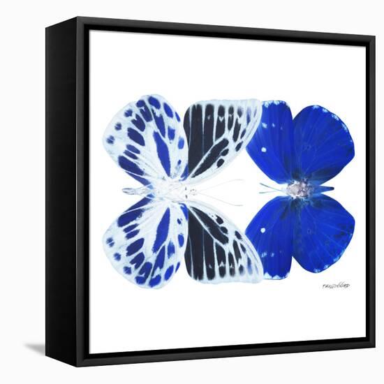 Miss Butterfly Duo Priopomia Sq - X-Ray White Edition-Philippe Hugonnard-Framed Stretched Canvas