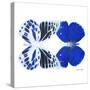 Miss Butterfly Duo Priopomia Sq - X-Ray White Edition-Philippe Hugonnard-Stretched Canvas