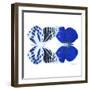 Miss Butterfly Duo Priopomia Sq - X-Ray White Edition-Philippe Hugonnard-Framed Photographic Print