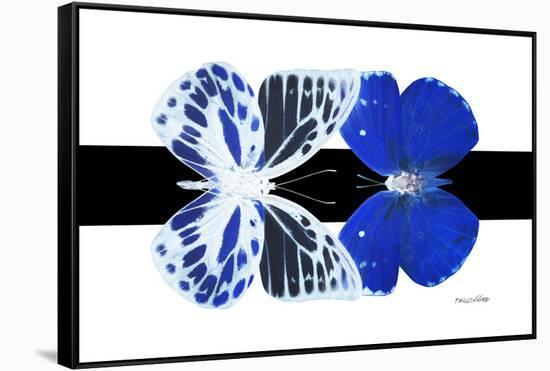 Miss Butterfly Duo Priopomia - X-Ray B&W Edition-Philippe Hugonnard-Framed Stretched Canvas