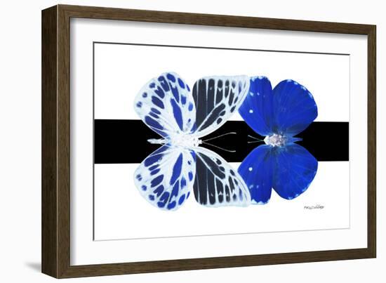 Miss Butterfly Duo Priopomia - X-Ray B&W Edition-Philippe Hugonnard-Framed Photographic Print