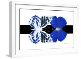 Miss Butterfly Duo Priopomia - X-Ray B&W Edition-Philippe Hugonnard-Framed Photographic Print