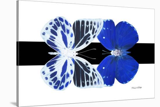 Miss Butterfly Duo Priopomia - X-Ray B&W Edition-Philippe Hugonnard-Stretched Canvas