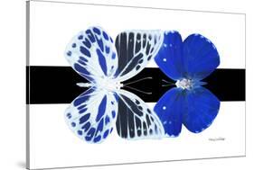 Miss Butterfly Duo Priopomia - X-Ray B&W Edition-Philippe Hugonnard-Stretched Canvas