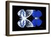 Miss Butterfly Duo Priopomia - X-Ray Black Edition-Philippe Hugonnard-Framed Photographic Print