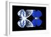 Miss Butterfly Duo Priopomia - X-Ray Black Edition-Philippe Hugonnard-Framed Photographic Print