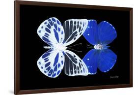 Miss Butterfly Duo Priopomia - X-Ray Black Edition-Philippe Hugonnard-Framed Photographic Print