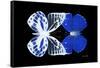 Miss Butterfly Duo Priopomia - X-Ray Black Edition-Philippe Hugonnard-Framed Stretched Canvas