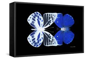 Miss Butterfly Duo Priopomia - X-Ray Black Edition-Philippe Hugonnard-Framed Stretched Canvas