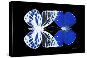 Miss Butterfly Duo Priopomia - X-Ray Black Edition-Philippe Hugonnard-Stretched Canvas