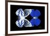 Miss Butterfly Duo Priopomia - X-Ray Black Edition-Philippe Hugonnard-Framed Photographic Print