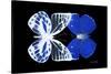 Miss Butterfly Duo Priopomia - X-Ray Black Edition-Philippe Hugonnard-Stretched Canvas