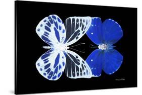 Miss Butterfly Duo Priopomia - X-Ray Black Edition-Philippe Hugonnard-Stretched Canvas