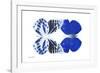 Miss Butterfly Duo Priopomia - X-Ray White Edition-Philippe Hugonnard-Framed Photographic Print