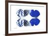 Miss Butterfly Duo Priopomia - X-Ray White Edition-Philippe Hugonnard-Framed Photographic Print