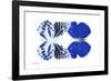 Miss Butterfly Duo Priopomia - X-Ray White Edition-Philippe Hugonnard-Framed Photographic Print