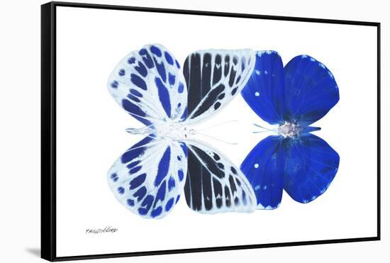 Miss Butterfly Duo Priopomia - X-Ray White Edition-Philippe Hugonnard-Framed Stretched Canvas