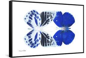 Miss Butterfly Duo Priopomia - X-Ray White Edition-Philippe Hugonnard-Framed Stretched Canvas