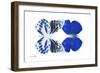 Miss Butterfly Duo Priopomia - X-Ray White Edition-Philippe Hugonnard-Framed Photographic Print
