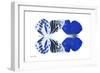 Miss Butterfly Duo Priopomia - X-Ray White Edition-Philippe Hugonnard-Framed Photographic Print