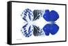 Miss Butterfly Duo Priopomia - X-Ray White Edition-Philippe Hugonnard-Framed Stretched Canvas