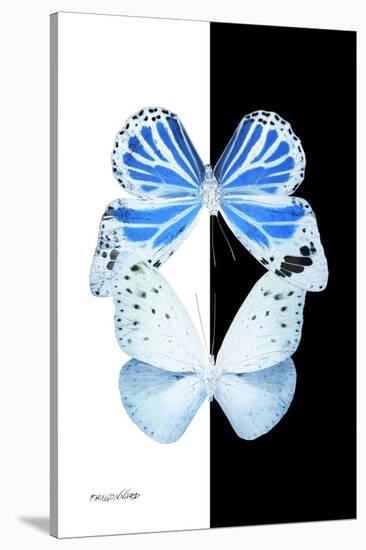 Miss Butterfly Duo Salateuploea II - X-Ray B&W Edition-Philippe Hugonnard-Stretched Canvas