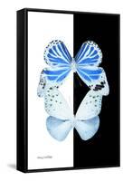 Miss Butterfly Duo Salateuploea II - X-Ray B&W Edition-Philippe Hugonnard-Framed Stretched Canvas