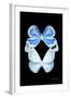 Miss Butterfly Duo Salateuploea II - X-Ray Black Edition-Philippe Hugonnard-Framed Photographic Print