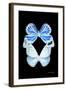 Miss Butterfly Duo Salateuploea II - X-Ray Black Edition-Philippe Hugonnard-Framed Photographic Print