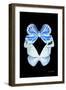 Miss Butterfly Duo Salateuploea II - X-Ray Black Edition-Philippe Hugonnard-Framed Photographic Print