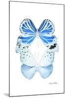 Miss Butterfly Duo Salateuploea II - X-Ray White Edition-Philippe Hugonnard-Mounted Premium Photographic Print