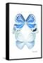 Miss Butterfly Duo Salateuploea II - X-Ray White Edition-Philippe Hugonnard-Framed Stretched Canvas