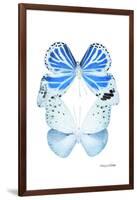 Miss Butterfly Duo Salateuploea II - X-Ray White Edition-Philippe Hugonnard-Framed Photographic Print