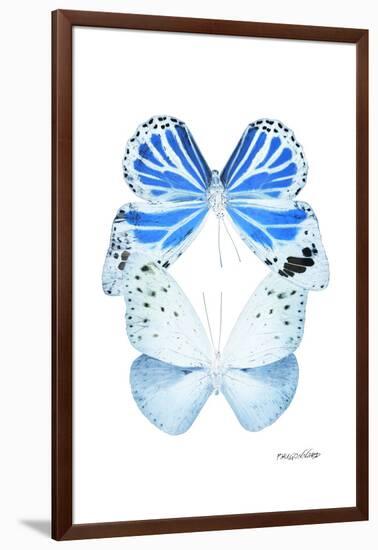 Miss Butterfly Duo Salateuploea II - X-Ray White Edition-Philippe Hugonnard-Framed Photographic Print