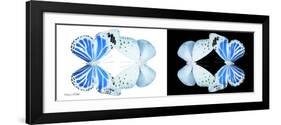 Miss Butterfly Duo Salateuploea Pan - X-Ray B&W Edition-Philippe Hugonnard-Framed Photographic Print