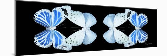 Miss Butterfly Duo Salateuploea Pan - X-Ray Black Edition II-Philippe Hugonnard-Mounted Photographic Print