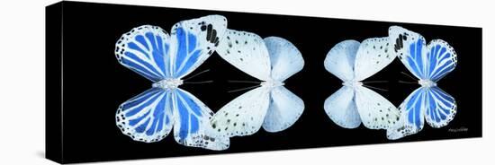 Miss Butterfly Duo Salateuploea Pan - X-Ray Black Edition II-Philippe Hugonnard-Stretched Canvas